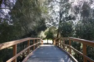 2025-07-21 Cpt. Cook Brdg. Walk - IMG_3812_compressed_q80.webp